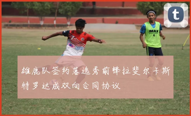 雄鹿队签约落选秀前锋拉斐尔卡斯特罗达成双向合同协议