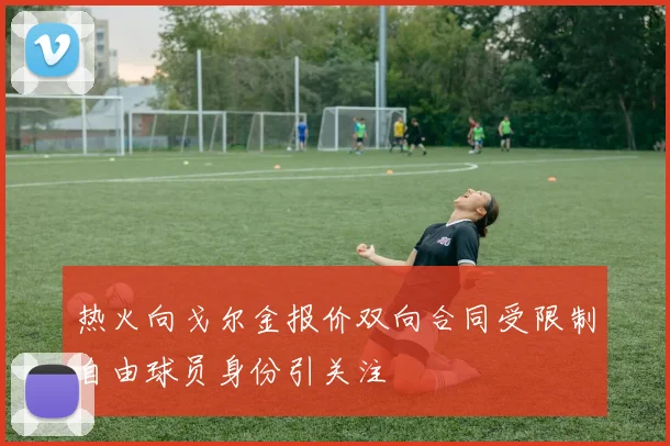 热火向戈尔金报价双向合同受限制自由球员身份引关注